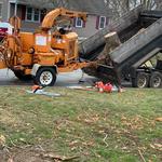 JP Tree Service Company - photo 2