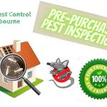 Regal Pest Control Melbourne - photo 3