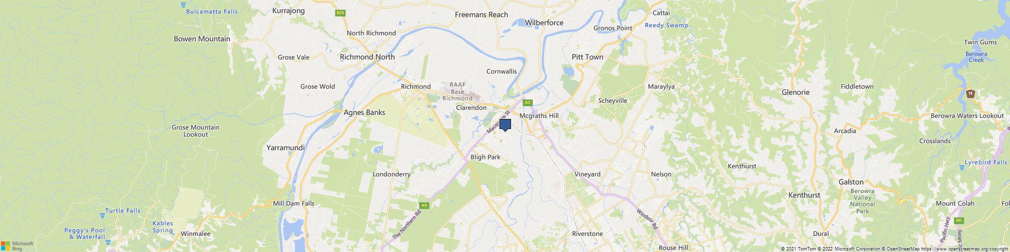 Patch & Purr cover photo