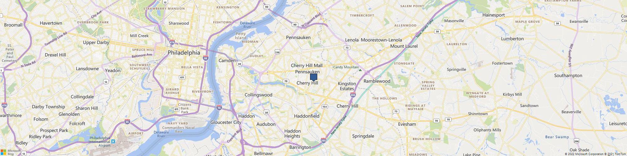 Platinum Painting cover photo