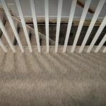 Havertown Carpet of West Chester - photo 1