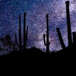 Stargazing Joshua Tree - photo 3