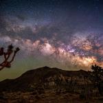 Stargazing Joshua Tree - photo 5