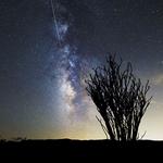 Stargazing Joshua Tree - photo 8