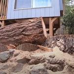 Tree Service Experts Bendigo - photo 1