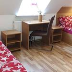 Pension Mannheim Haus Baron 1 - photo 1