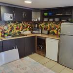 Pension Mannheim Haus Baron 1 - photo 4