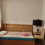 Pension Mannheim Haus Baron 1 - photo 5