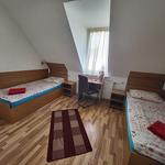 Pension Mannheim Haus Baron 1 - photo 7