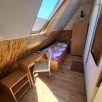 Pension Mannheim Haus Baron 1 - photo 8