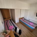 Pension Mannheim Haus Baron 1 - photo 9