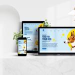 Shopify Website Designing Company in California - photo 2