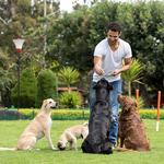 Puptown in the Woods - photo 3