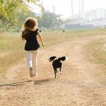 Puptown in the Woods - photo 10