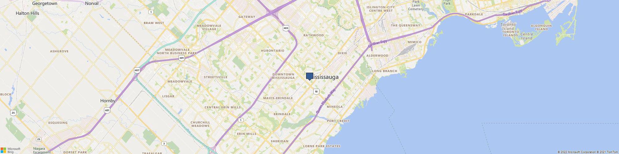 Top Limo cover photo