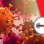 Cyclone Kleen Up - photo 2