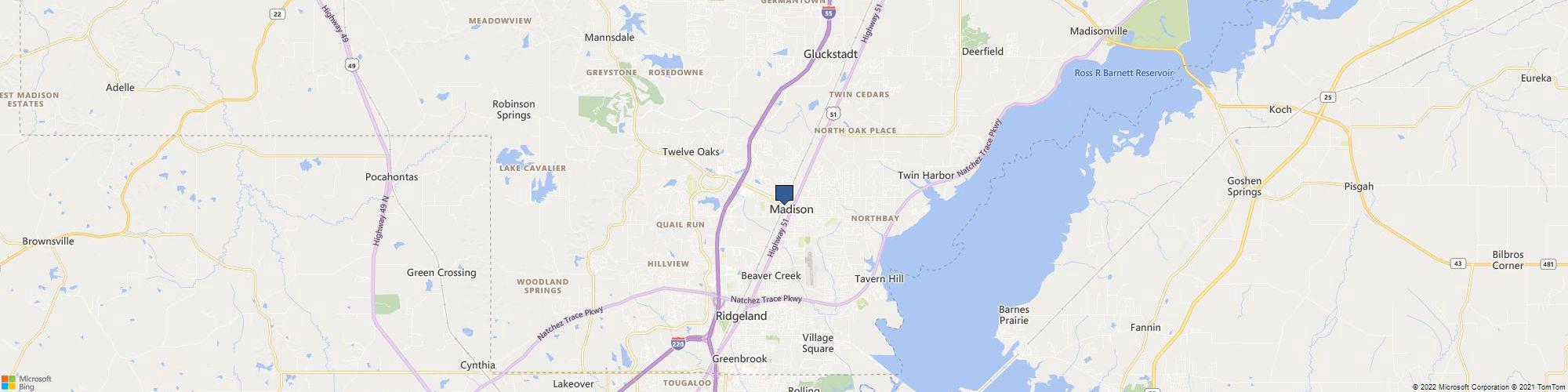 Hopping's Landscape of Madison cover photo