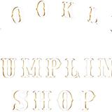 Brooklyn Dumpling Shop