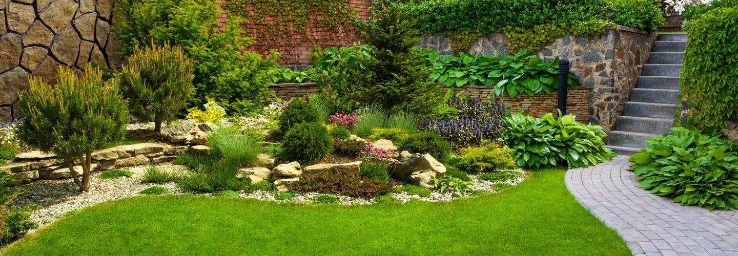 Enhancvdgfsgvf  cover photo