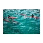 Destiny Water Adventures - photo 3