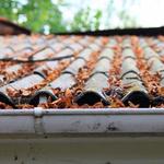 Charlottesville Gutter Pros - photo 5