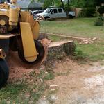 Charles Tree Services - photo 3