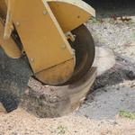 Charles Tree Services - photo 5