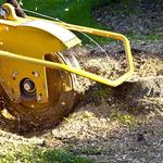 Charles Tree Services - photo 6