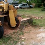Charles Tree Services - photo 8