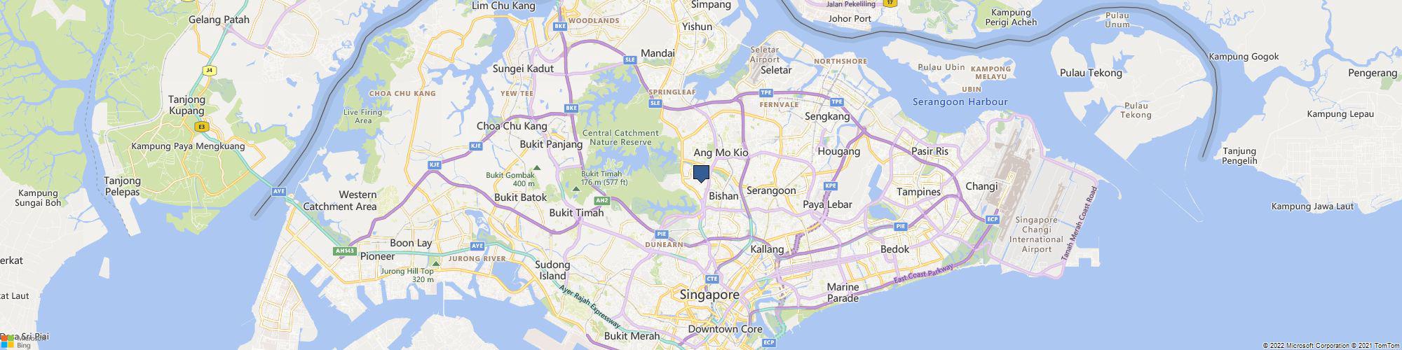 The TreeDots Enterprise cover photo