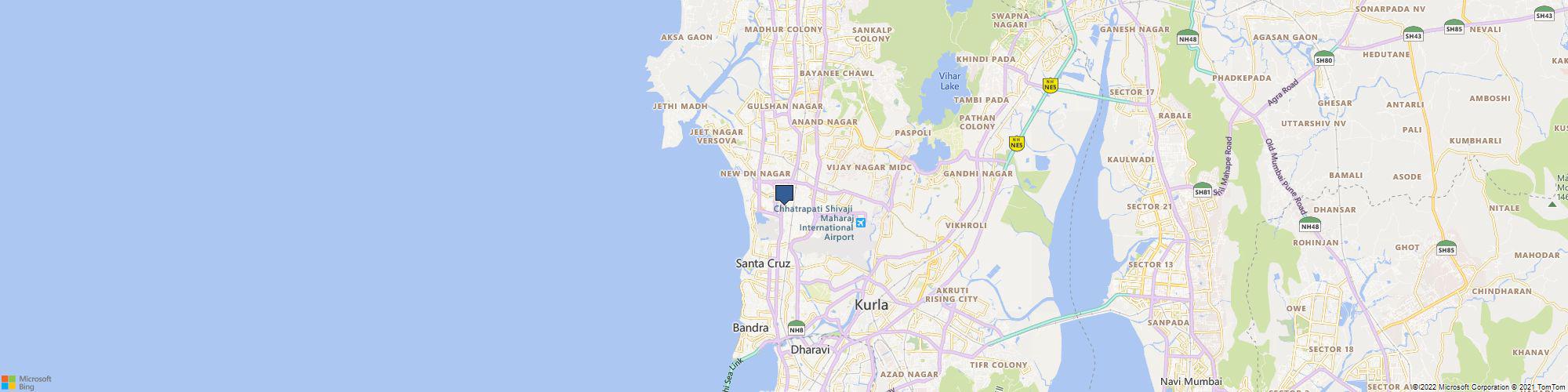 theconciousleap cover photo