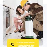 All Out Pest Control Sydney - Pest Control in Asprovalta