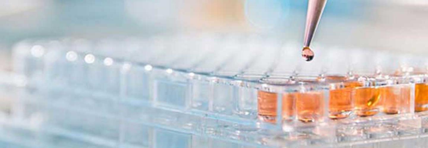 Marin Biologic Laboratories cover photo