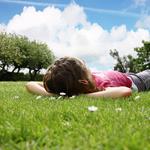 Mosquito Authority - Lafayette, LA - photo 2