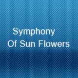 Symphony of Sun Flowers - Groups & Organizations in Brisbane