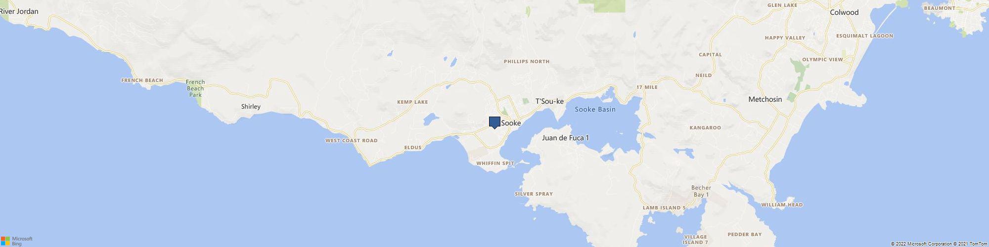 Eagle Painting cover photo