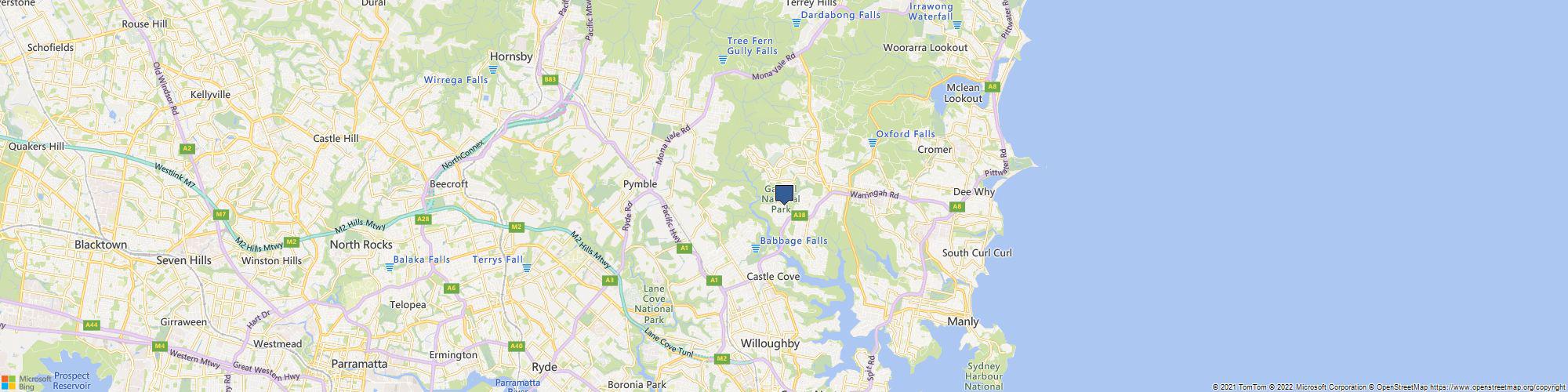 Northern Beaches Garden & Trees cover photo