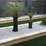 SK Landscape - photo 2