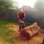 Sydney Green Group - photo 3