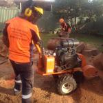 Sydney Green Group - photo 6