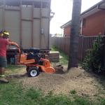 Sydney Green Group - photo 8