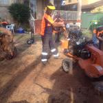 Sydney Green Group - photo 9