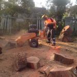 Sydney Green Group - photo 10