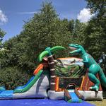 Tiky Jumps Inflatables LLC - photo 4