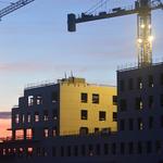 PSD Professional - photo 1