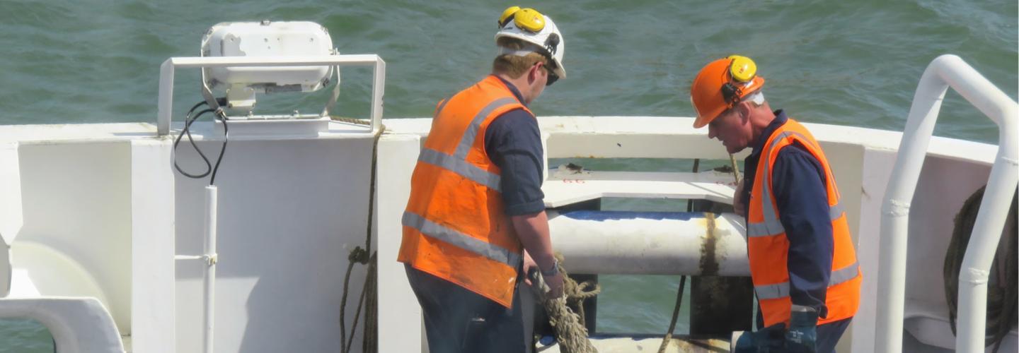 Ship Inspectors cover photo