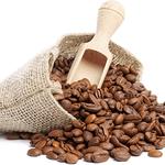 Mudandgee Tea Group - photo 1