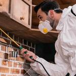 Possum Removal Canberra - photo 6