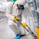 Bed Bug Control Perth - photo 3