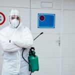 Bed Bug Control Perth - photo 4